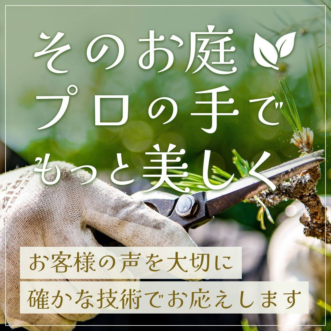 popup_banner